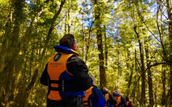 People walk through a forest